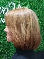 Portfolio Cabelo