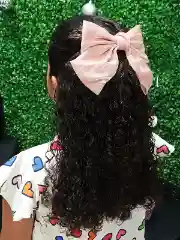 Portfolio Cabelo